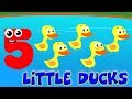    خمسة البط قليلا أغنية تعليمية      