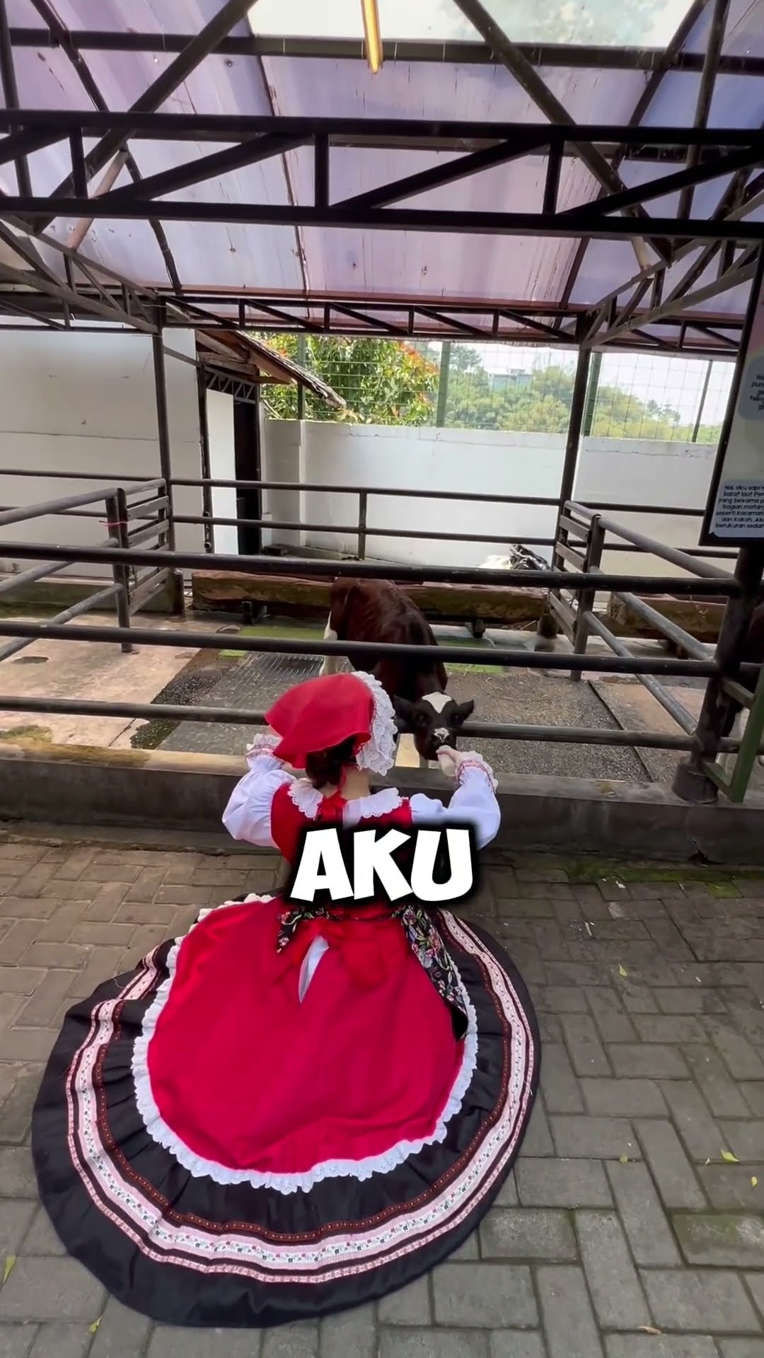 RAHASIA BAYI SAPI!