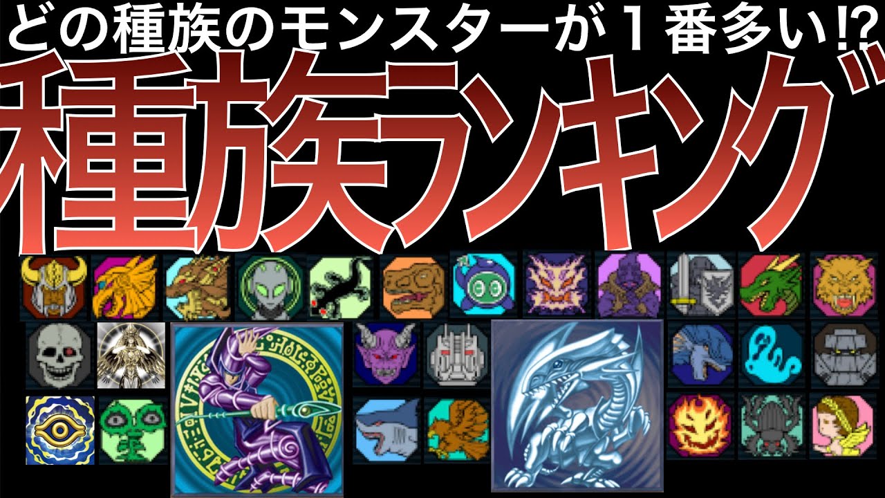 自由研究】種族別モンスター数ランキング【遊戯王OCG/2025年8月