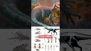 #paleontology #raptor #dinosaur