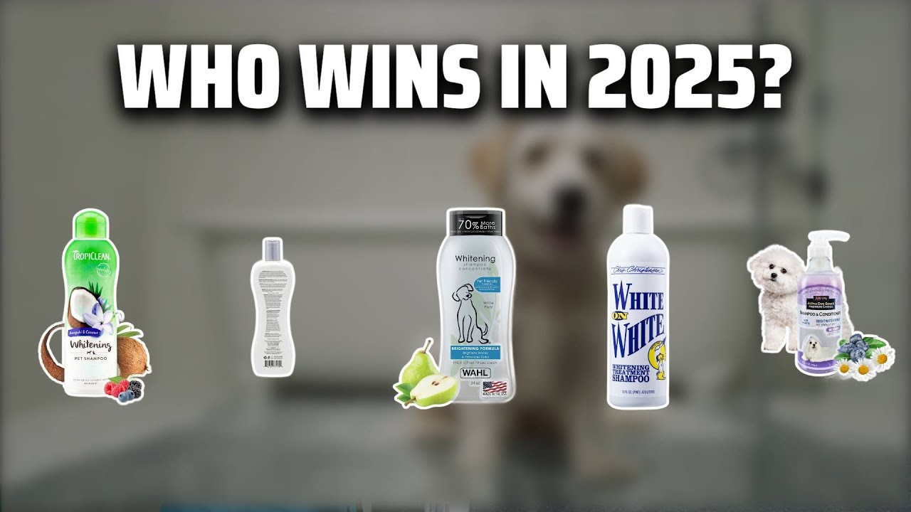 The Top 5 Best Dog Whitening Shampoo in 2025 - Must Watch Before Buying!