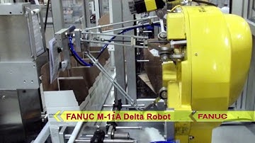 All-in-one Robotic Case Packing System with Labeler & Leaflet Feeder - ESS Technologies VC30