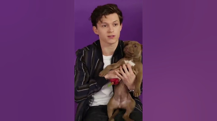 Tom Holland with PUPPIES ! 😍