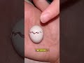 At first egg parrot give her owner hand