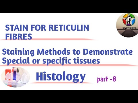 Video: V metodách barvení retikulinu?