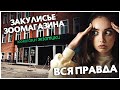 Что творится за закрытыми дверями зооцентра Panteric? 🔞 От склада до операционной.