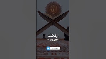 تلاوة عطرة للشيخ علاء المزجاجي