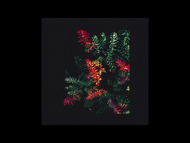 Dark Sky - Angels