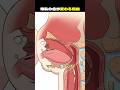 母乳の色が変わる理由