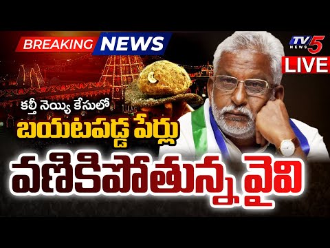 BIG BREAKING LIVE : దోషులు దొరికిపోయారు.. | Tirumala Adulterated Ghee Case Latest Update | TV5 News - TV5NEWS