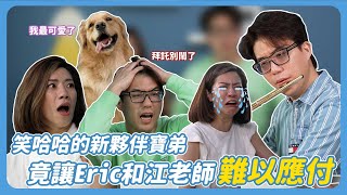 笑哈哈來了新夥伴寶弟! 竟讓Eric和江老師難以對付~
