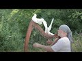 Alizbar/ Celtic harp/ Under white wings / Last fallen leaf / Кельтская арфа/ Relax Music /Meditation