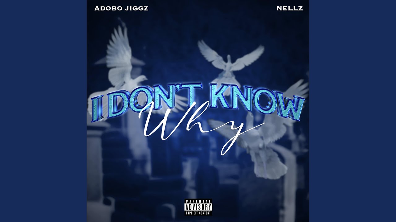 I dont know why (feat. Nellz) - YouTube