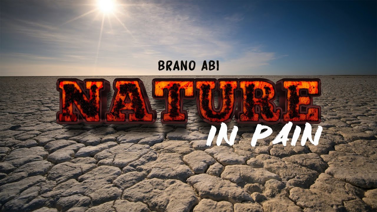 Climate change song -nature in pain - Brannon  [ Visualizer ] 