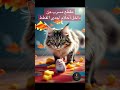 احلام القطط #chicken #pets #arabic #ai #fantasy #funny #comedyshorts
