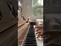 Learning Piano 🤍 #piano #pianomusic #pianocover #peaceful #relax