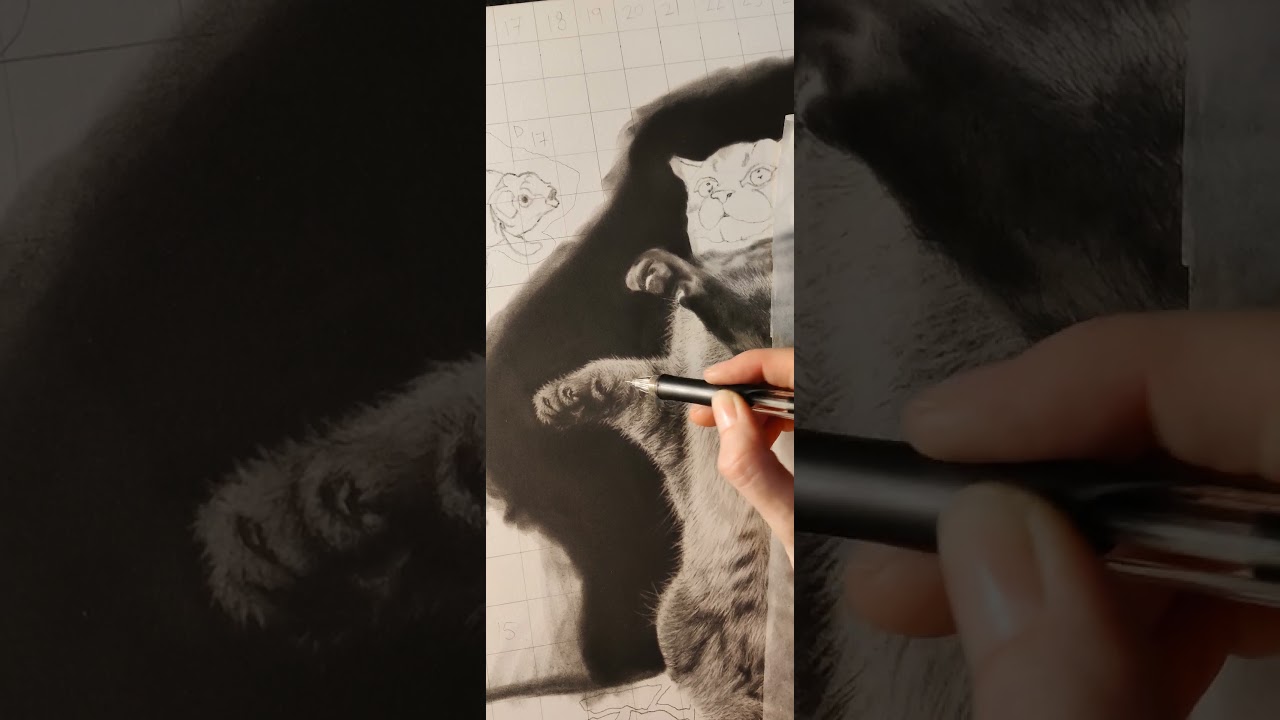 Stay PAWsitive Out There, Folks! 😻🙏💖 #drawing #art #positivity