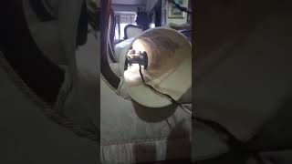 Car for Pipe Monitoring