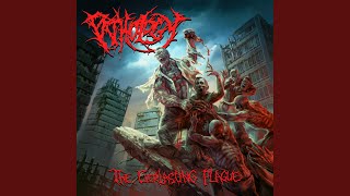 Submerged In Eviscerated Carnage