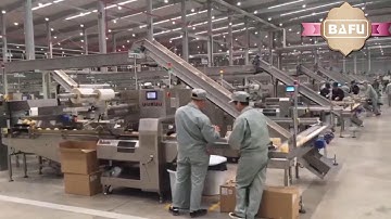 flow wrapper,horizontal flow wrapper,pillow packaging machine,flow-pack,flow pack machine