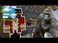 Wrestling A Gorilla