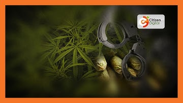 Kisii University student arrested with bhang