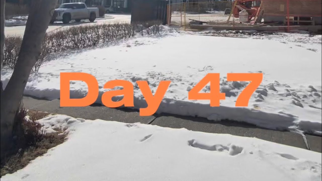 Day 47/100 🇨🇦 Running a business, chasing goals, balancing life in Canada — one day at a time.