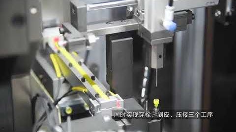 Semi automatic double wire stripping crimping and seal plug loading machine