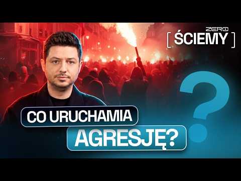 WHY DO PEOPLE "LOSE THEIR COOL"? THE PSYCHOLOGY OF AGGRESSION | ZERO NONSENSE #93