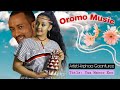 Best Oromo Borana Music Hirphaa Gaanfuree Yaa Maroo Koo Haddaar Tube