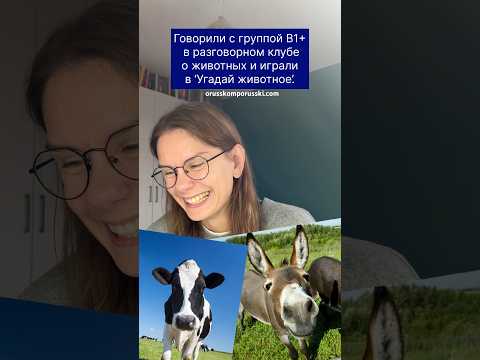 Встреча разговорного клуба (группа В1+)