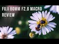 Fujifilm 80mm F2.8 Macro Lens Review In 2021 - A Great Shooting Experience!