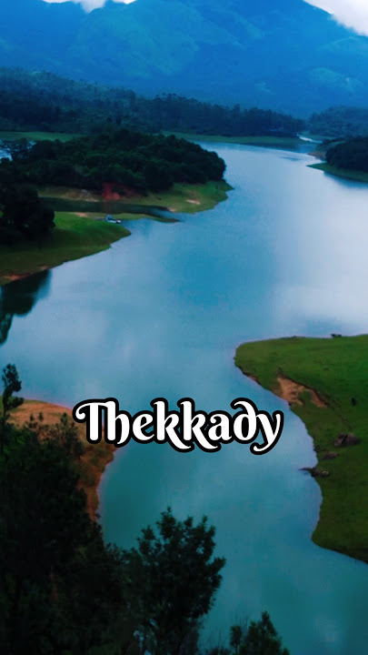 Thekkady - you shouldn't miss this when in Kerela #shorts #shortsfeed #ytshorts #travel