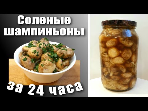 Соленые шампиньоны холодным способом быстро