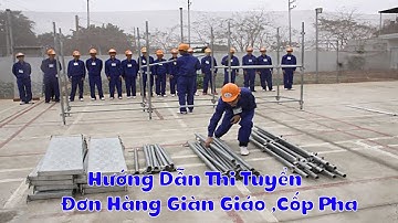 Thi Tuyển Đơn Hàng Xây Dựng Nhật Bản || Đơn Hàng Cốp Pha