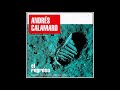 Andrés Calamaro - Los Aviones (El Regreso)