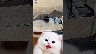 Celebrity #jumpstyle 😂 Net Worth