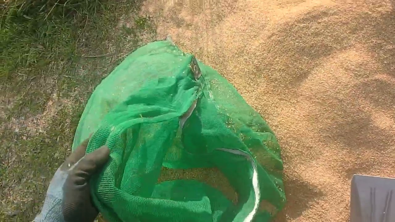 Procurement of rice husks x One light truck will last for a year