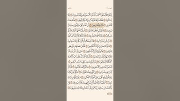 سورة القلم من ٢٠ إلى ٤٠