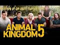 قصة مسلسل Animal Kingdom عائلة إجرامية تتكون من ام وأولادها 