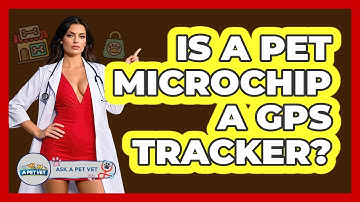 Is A Pet Microchip A GPS Tracker? - Ask A Pet Vet