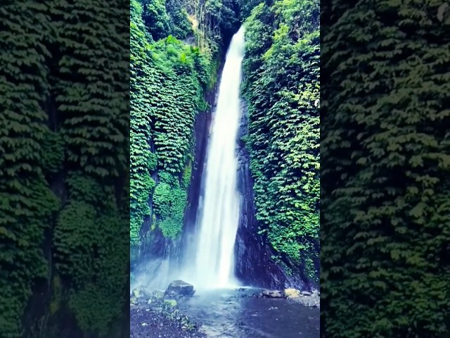 Munduk Waterfall. #gustibalitours #baliescape #gustibali #mundukwaterfall