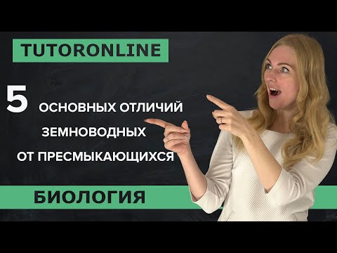 Биология | 5 основных отличий земноводных от пресмыкающихся.  Земноводные 7 класс