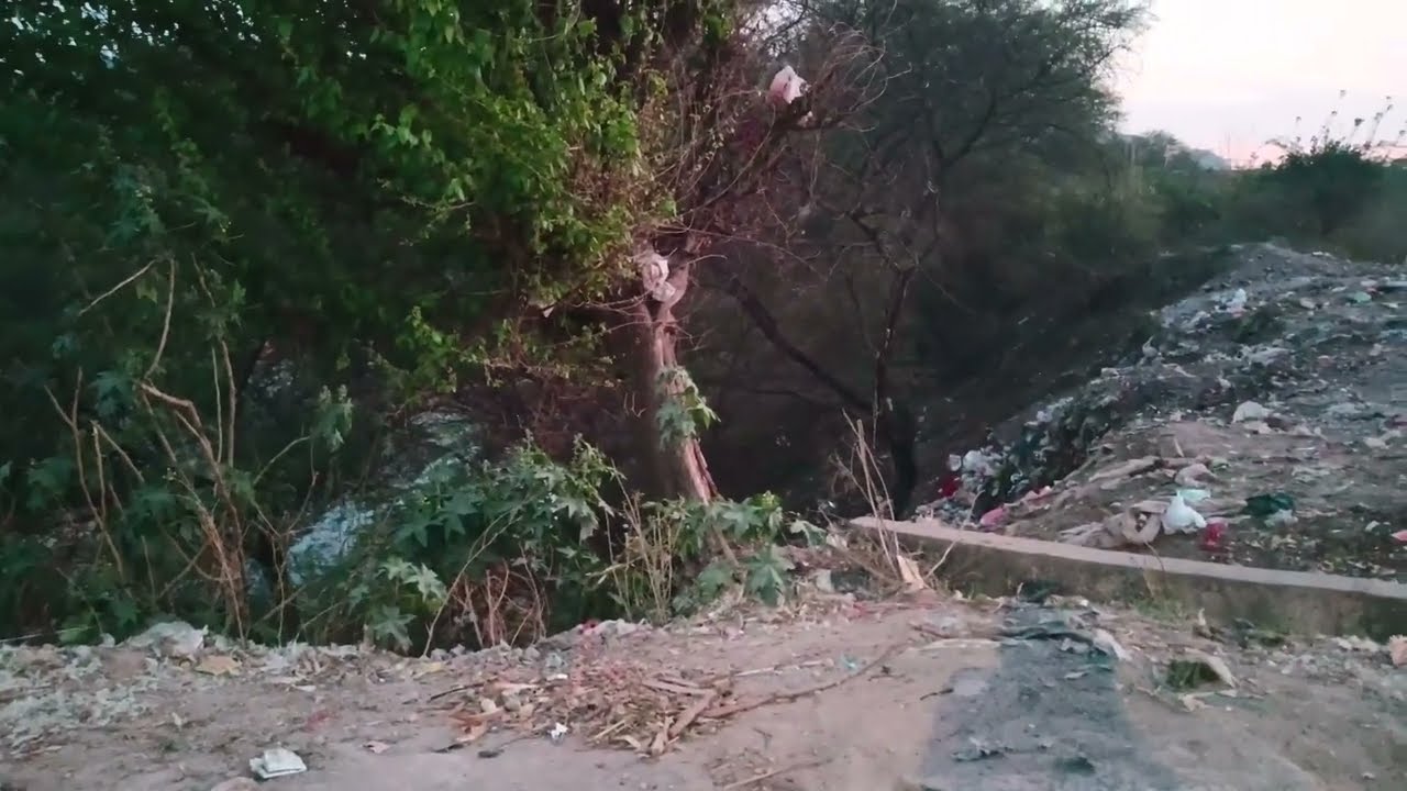 Carbon Connectors to Indigenous Slate Story of Innovation | From Diesel Tram to Tesla Tech Evolution