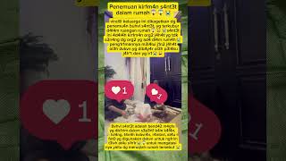 Download Lagu Astaghfirullah p3n3mv4n kir1m4n s4nt3t dalam rum4h😭😱 #fypviral #trendingshorts MP3