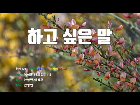[은성 반주기] 하고싶은말 - 이석훈(SG워너비)