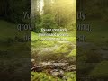 Boost Your Day with Uplifting Affirmations: Positivity Power Hour #motivation #empowerment #qotd