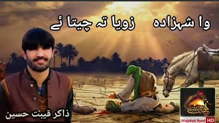 Pashto new Noha 2023 Wa shahzada Zoya ta cheta ya By Zakir Qibat Hussain