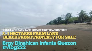 #vlog222 HOUSE & FARM LOT FOR SALE IN DINAHICAN INFANTA QUEZON (35M PESOS) - 2HECTARES BEACH FRONT