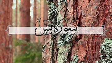 { سورة يس } | ماجد العنزي .